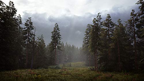 Hunting Simulator 2 (DE)