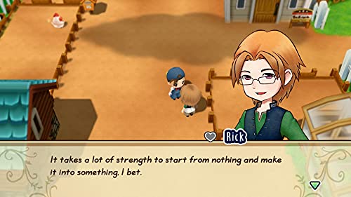 Story of Seasons: Friends of Mineral Town (DE)