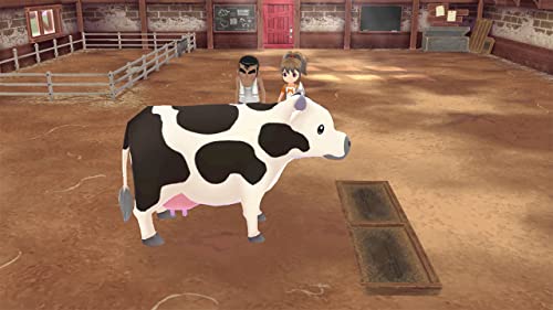 Story of Seasons: A Wonderful Life (DE) — Limited Edition
