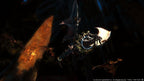 Final Fantasy XIV: A Realm Reborn (DE) — Collector's Edition