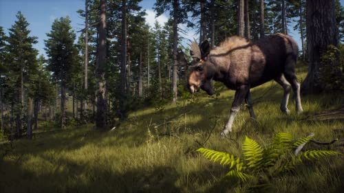 Way of the Hunter (DE)