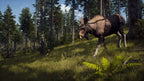 Way of the Hunter (DE)
