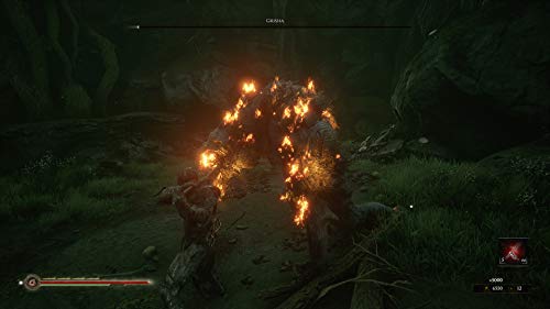 Mortal Shell (DE)