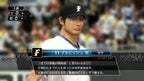 Pro Yakyuu Spirits 2011 (JP)