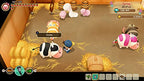 Story of Seasons: Friends of Mineral Town (DE)