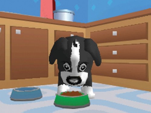 Dora & Friends': Pet Shelter
