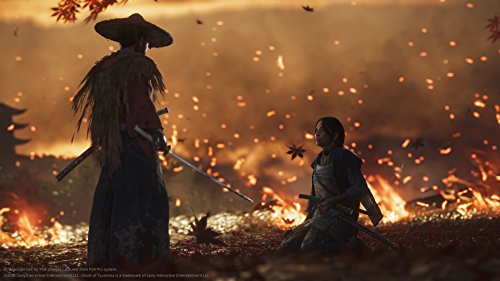 Konsole Pro 1TB schwarz + Ghost of Tsushima + Original Controller