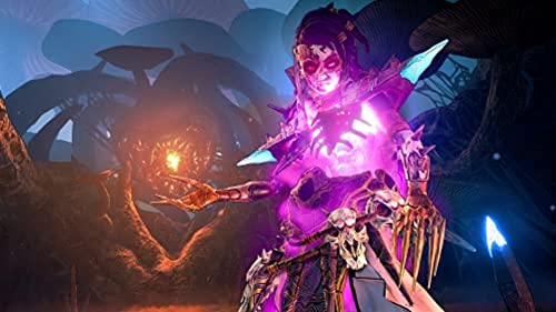Tiny Tina's Wonderlands Next Level Edition (DE)