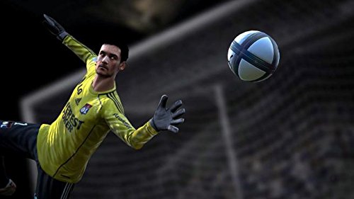 FIFA 11 (FR)