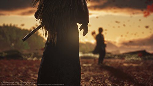 Ghost of Tsushima (DE)