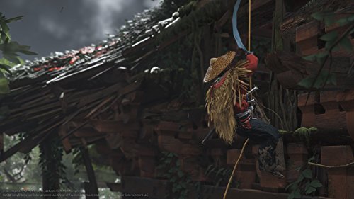 Ghost of Tsushima (DE)