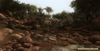 Far Cry 2 (AT)