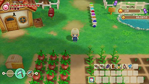 Story of Seasons: Friends of Mineral Town (DE)