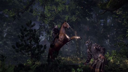 The Witcher III: Wild Hunt (FR)