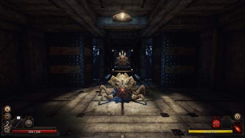 Vaporum: Steampunk Dungeon Crawler (FR) — Signature Edition