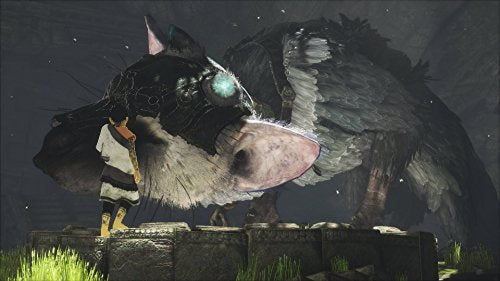 The Last Guardian (IT)