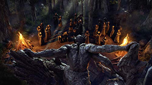 The Elder Scrolls Online Collection Blackwood (DE)