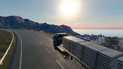 Truck Driver (DE)