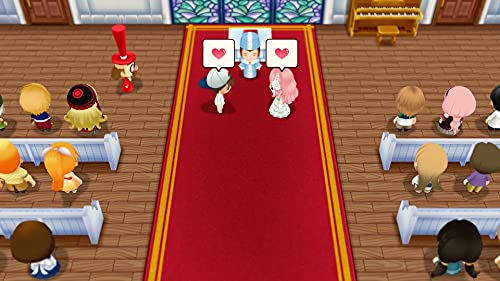 Story of Seasons: Friends of Mineral Town (DE)