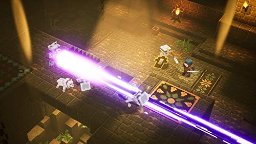 Minecraft Dungeons Hero Edition (DE)