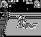 WWF Superstars 1