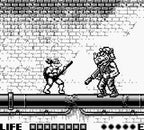 Turtles: Fall of the Foot Clan
