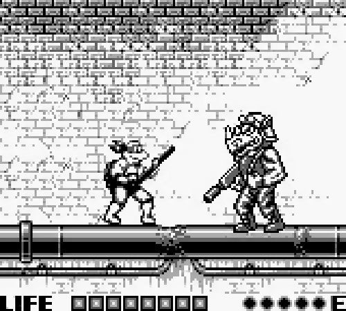 Turtles: Fall of the Foot Clan