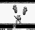 Turtles: Fall of the Foot Clan