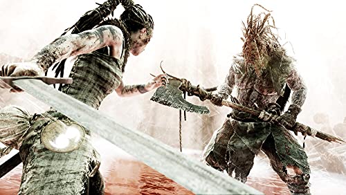 Hellblade: Senua's Sacrifice (FR)