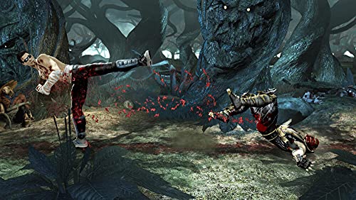 Mortal Kombat (FR)