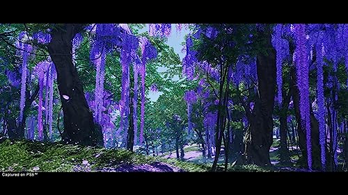 Ghost of Tsushima (GB) — Director's Cut