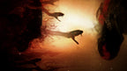 God of War: Ascension Collector's Edition (US) — Big Box