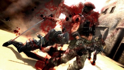 Ninja Gaiden 3 (AT)