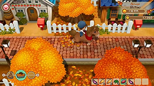 Story of Seasons: Friends of Mineral Town (DE)