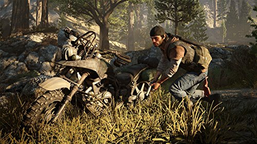 Days Gone (DE)