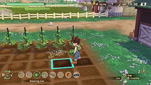 Story of Seasons: A Wonderful Life (DE) — Limited Edition