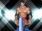 WWE SmackDown vs. RAW 2007 (DE) — Platinum