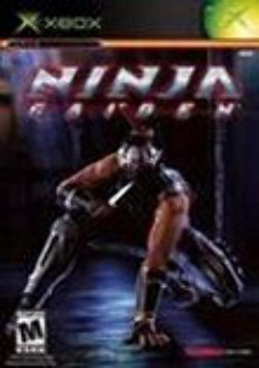 Ninja Gaiden (US)