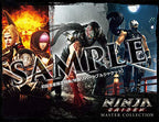 Ninja Gaiden Master Collection (JP)