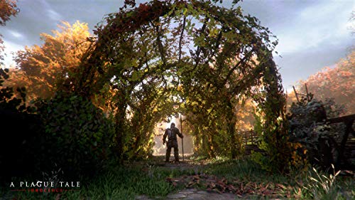 A Plague Tale Innocence (DE)