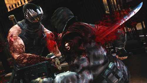 Ninja Gaiden 3 (AT)