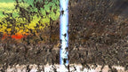N3: Ninety-Nine Nights (FR)
