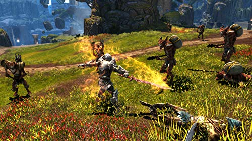 Kingdoms of Amalur: Re-Reckoning (DE)