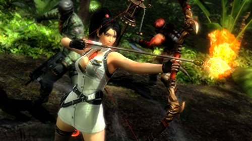 Ninja Gaiden 3 (DE) — Essentials
