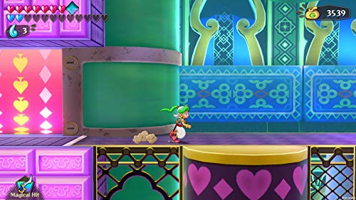 Wonder Boy: Asha in Monster World (DE)
