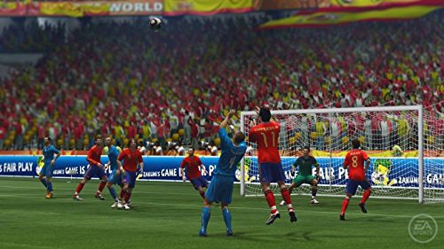 FIFA Fussball-Weltmeisterschaft: Südafrika 2010 (AT)