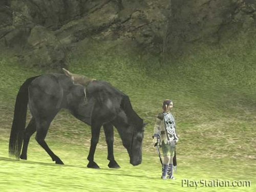 Shadow of the Colossus (DE)