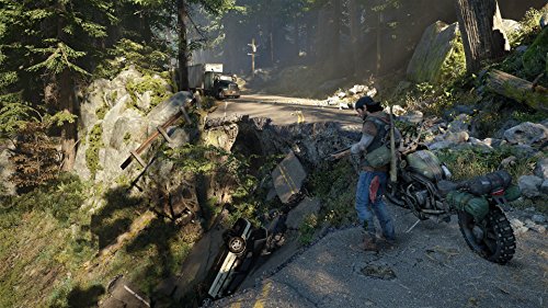 Days Gone (DE)
