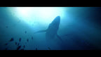 Under The Waves (DE) — Deluxe Edition