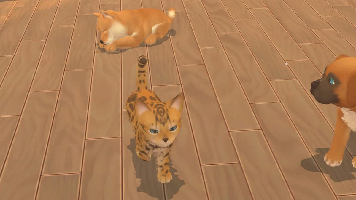 My Universe: Hunde- und Katzenbabys (DE)